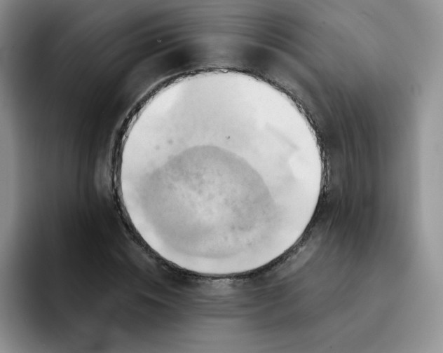 X0000091590828200709171133