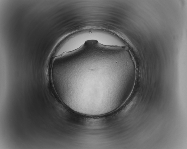 X0000091590830200709171133