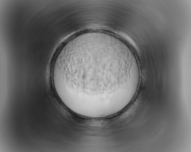 X0000091590831200709171133