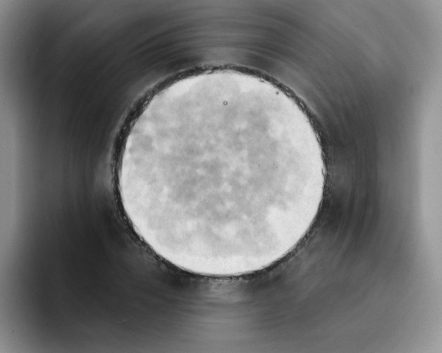 X0000091590832200709171133