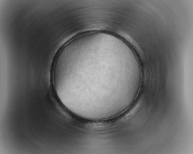 X0000091590834200709171133