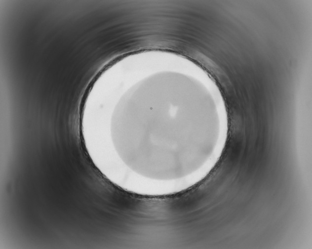 X0000091590836200709171133