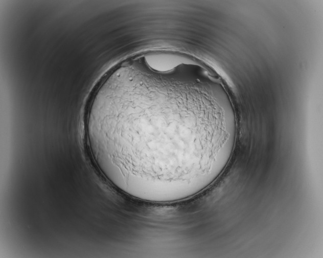 X0000091590837200709171133