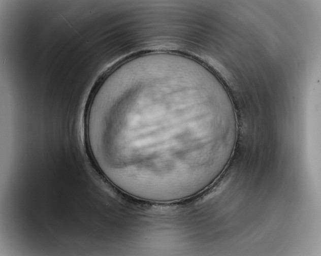 X0000091590840200709171133