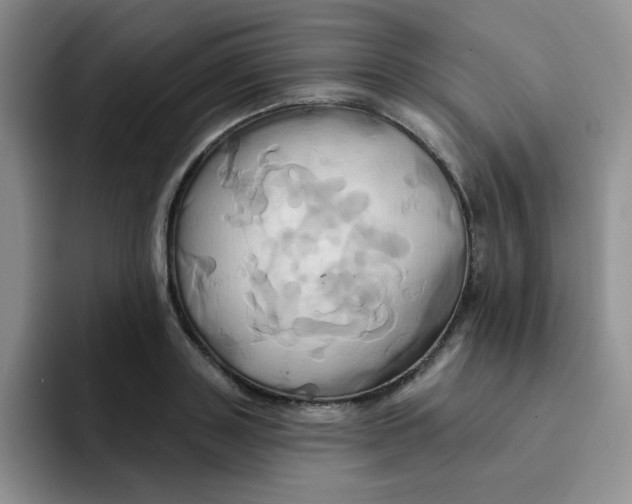 X0000091590843200709171133