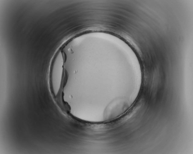 X0000091590845200709171133