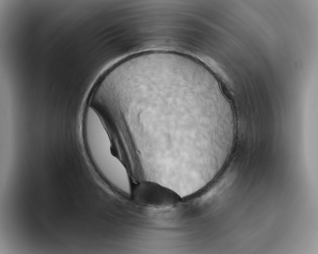 X0000091590846200709171133