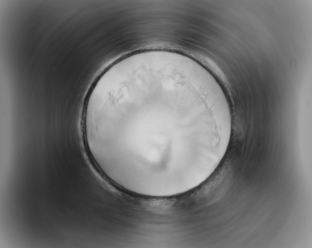 X0000091590847200709171133