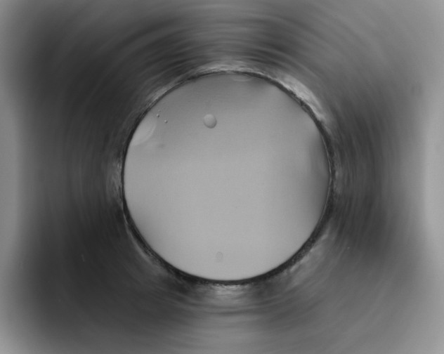 X0000091590849200709171133