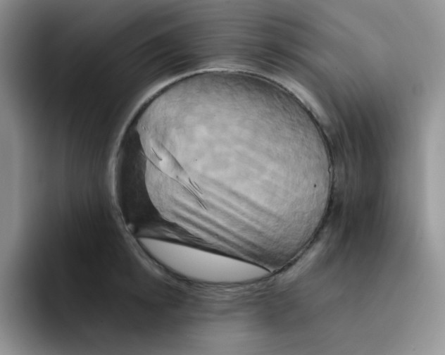 X0000091590854200709171133