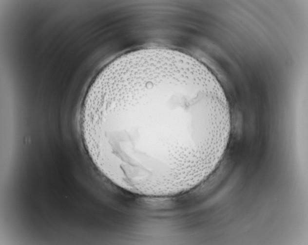 X0000091590856200709171133