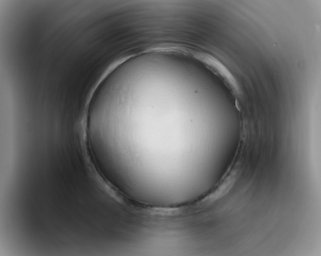 X0000091590860200709171133