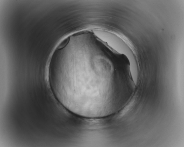 X0000091590862200709171133