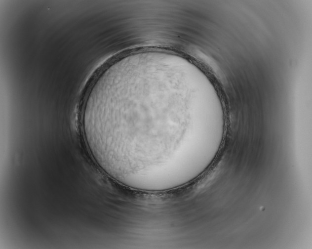 X0000091590875200709171132