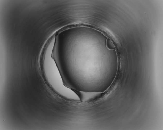 X0000091590876200709171132