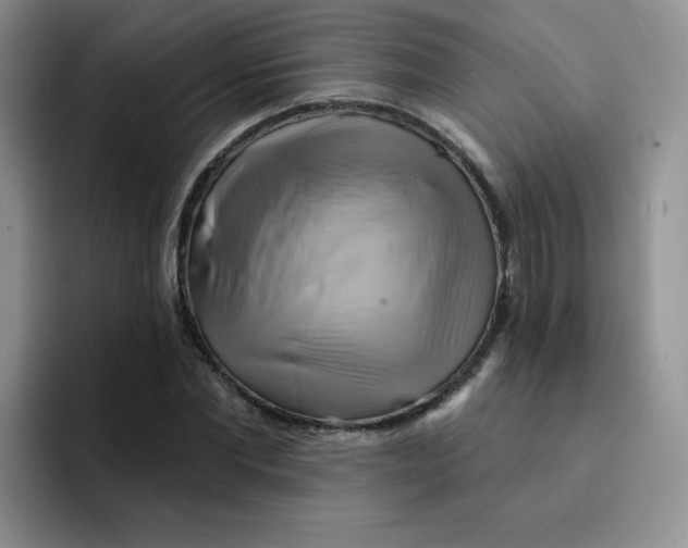 X0000091590877200709171132