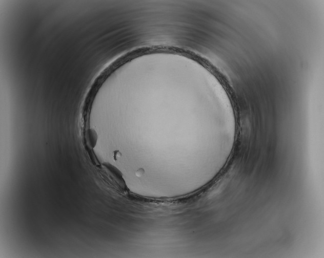 X0000091590879200709171132