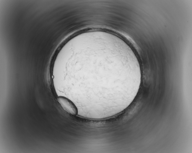 X0000091590887200709171132