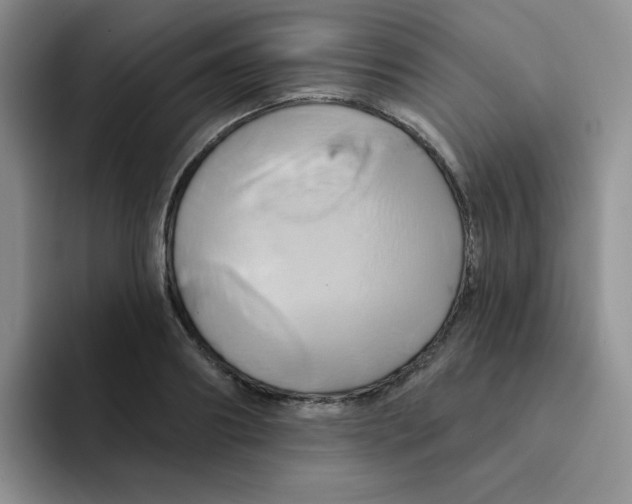 X0000091590890200709171132