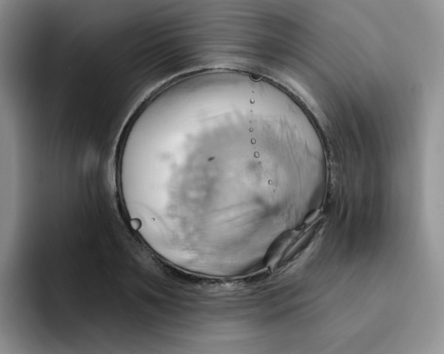 X0000091590891200709171132