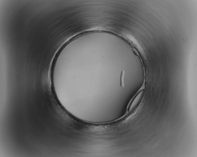 X0000091590892200709171132