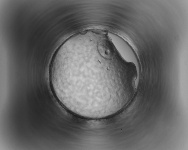 X0000091590898200709171132