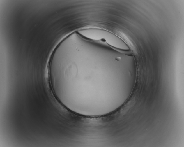 X0000091590900200709171132