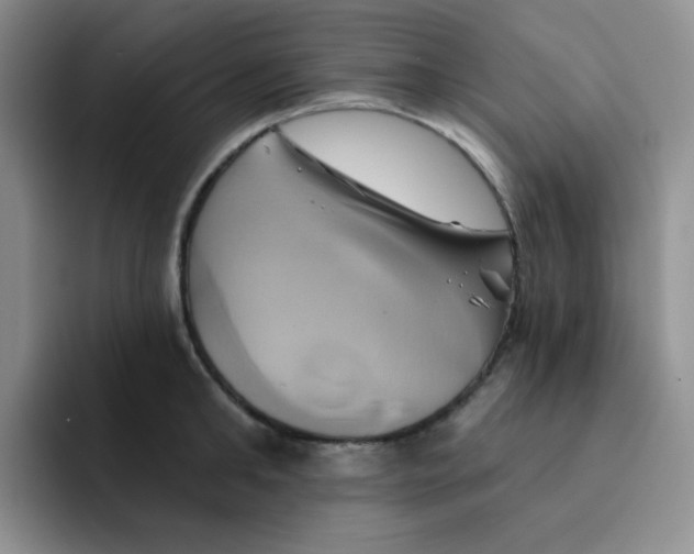 X0000091590902200709171132