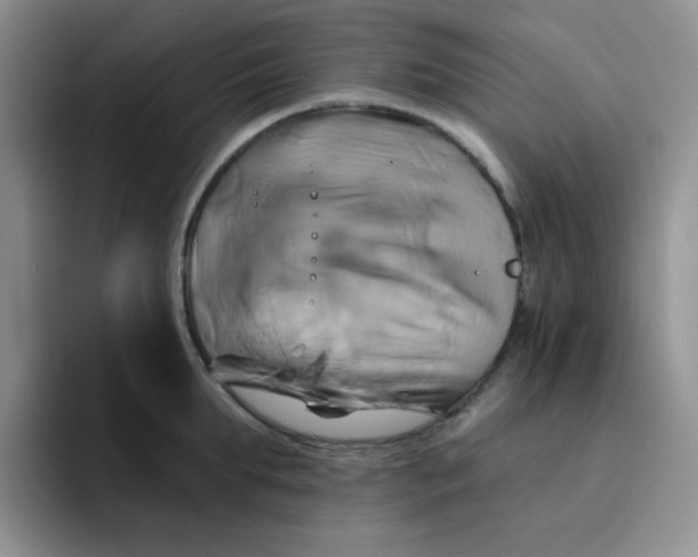 X0000091590903200709171132