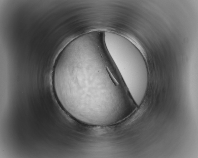 X0000091590906200709171132