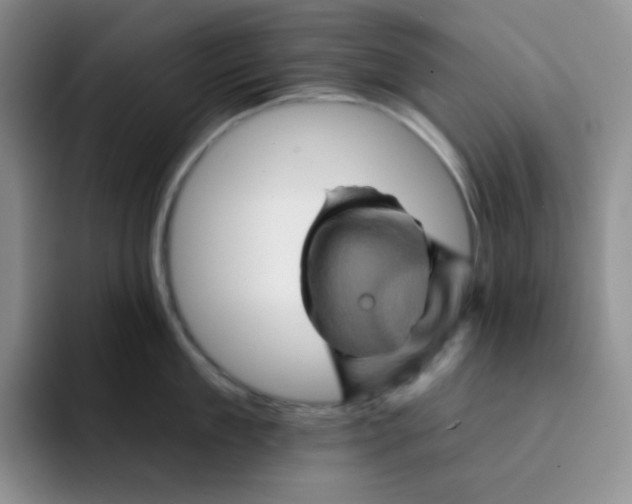 X0000091590909200709171132