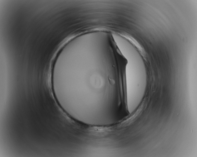 X0000091590910200709171132