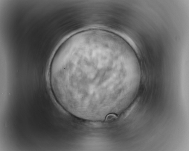 X0000091590911200709171132