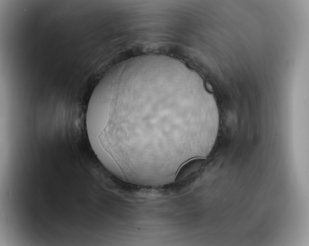 X0000091590914200709171131