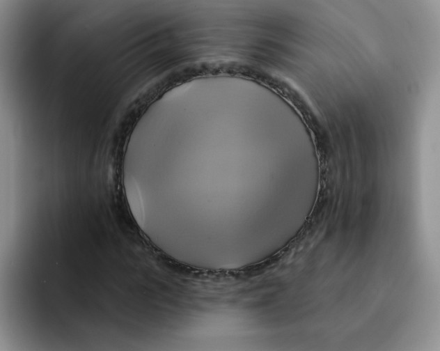 X0000091590919200709171131