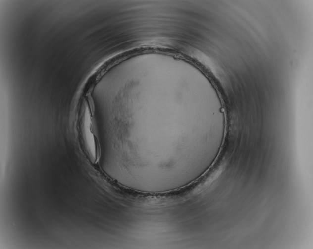 X0000091590923200709171131