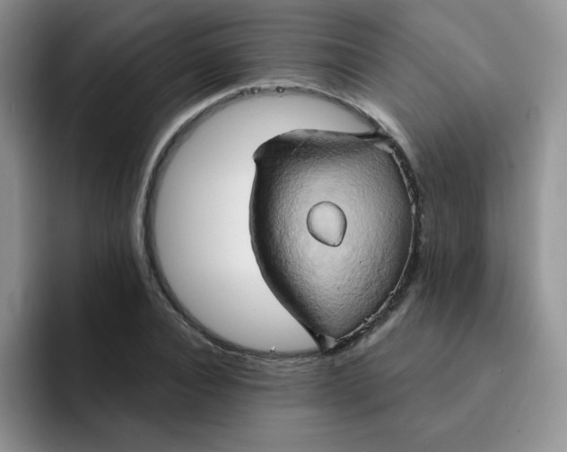 X0000091590928200709171131