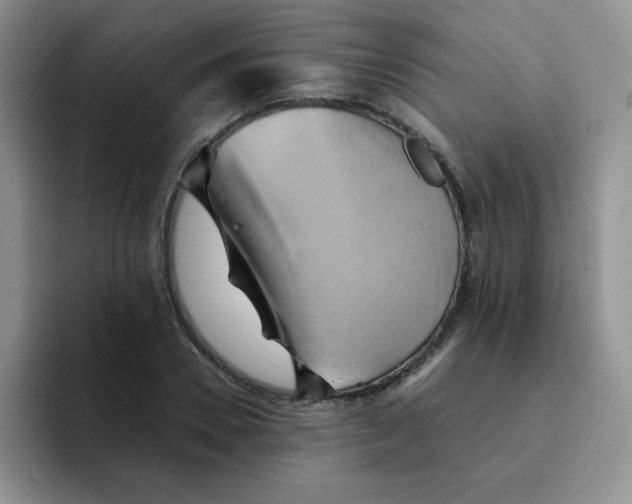 X0000091590930200709171131