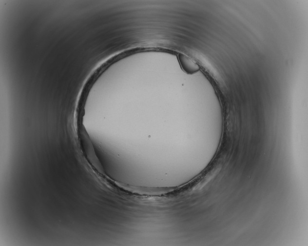 X0000091590932200709171131