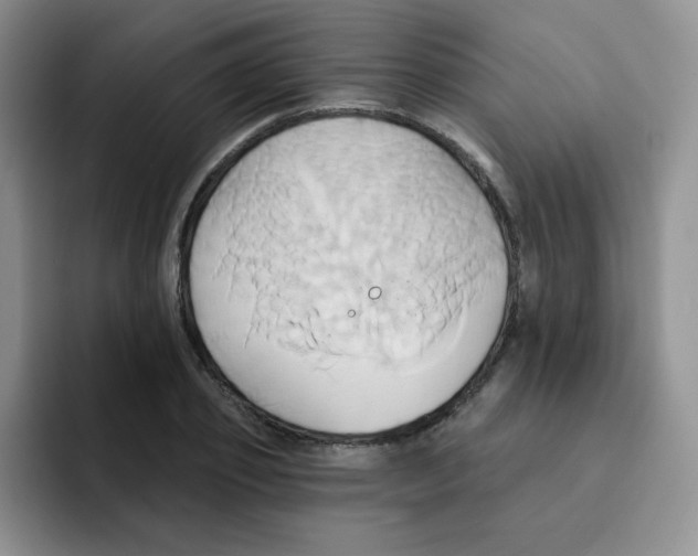 X0000091590933200709171131