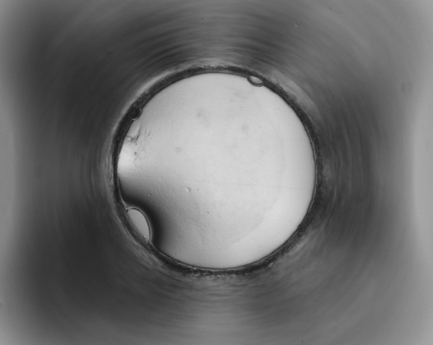 X0000091590934200709171132