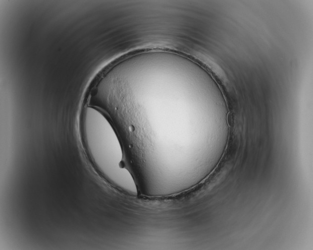 X0000091590936200709171132