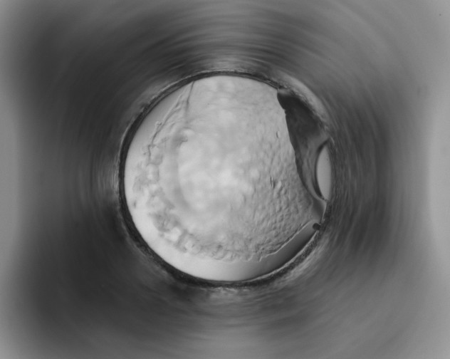 X0000091590938200709171132