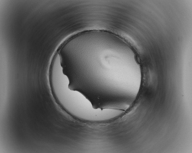 X0000091590942200709171132