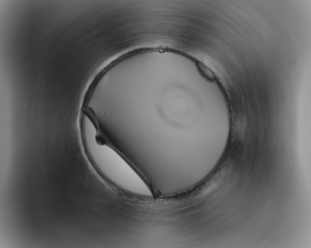 X0000091590943200709171132