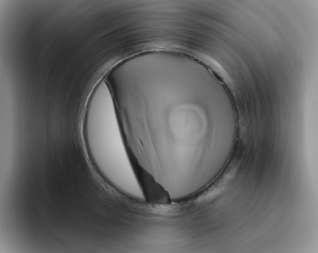 X0000091590946200709171132