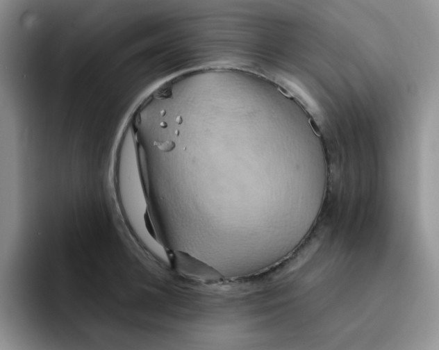 X0000091590948200709171132