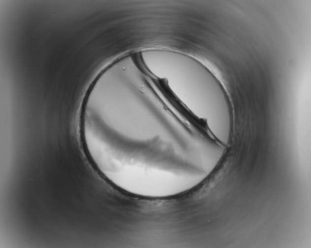 X0000091590949200709171132