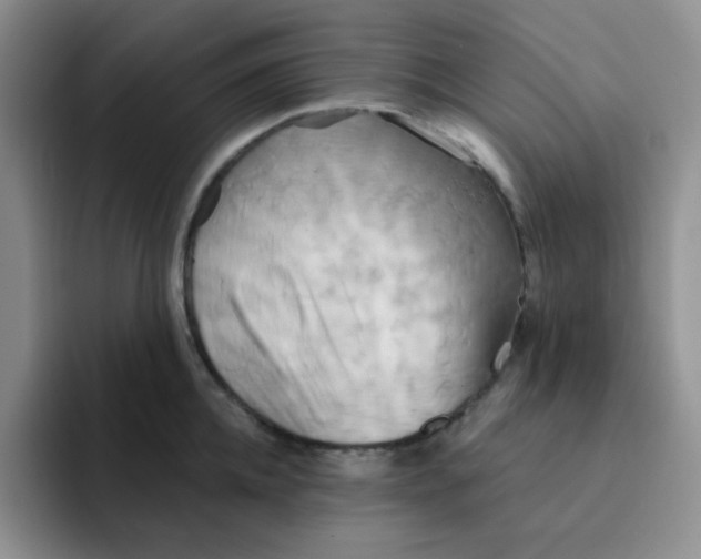 X0000091590952200709171132