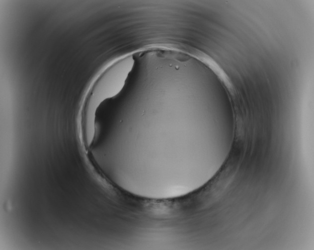 X0000091590955200709171132